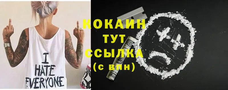 где можно купить   Чкаловск  Cocaine Fish Scale 